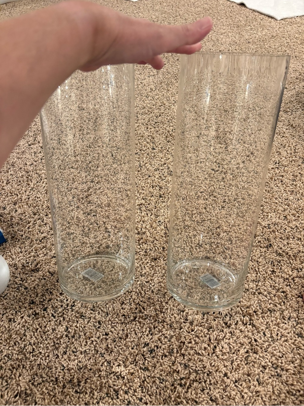 Kirkland Clear Glass Cylinder Vases - Clear Pair